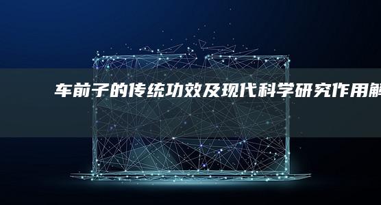 车前子的传统功效及现代科学研究作用解析